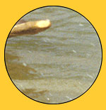 transport puzzle picture