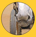 transport puzzle picture